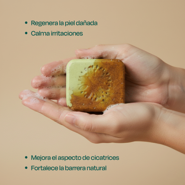 Jabón Artesanal Sangre de Grado y Matico – Regenera